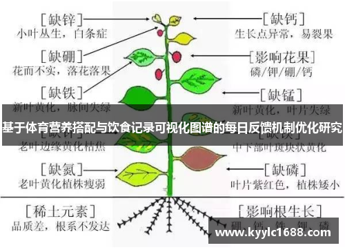 基于体育营养搭配与饮食记录可视化图谱的每日反馈机制优化研究